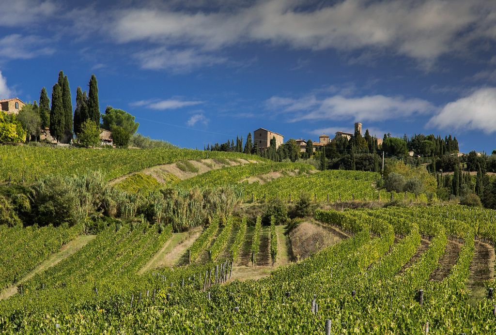 Volpaia Chianti Classico Italie vins étrangers Toscane